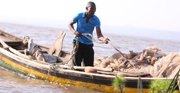 Fishermen Decry Pollution Killing Tons Of Fish In Lake Victoria